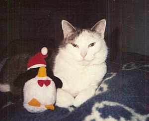 Tabitha with Penguin